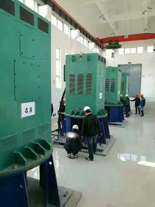 YKK5601-10某污水处理厂使用我厂的立式高压电机安装现场
